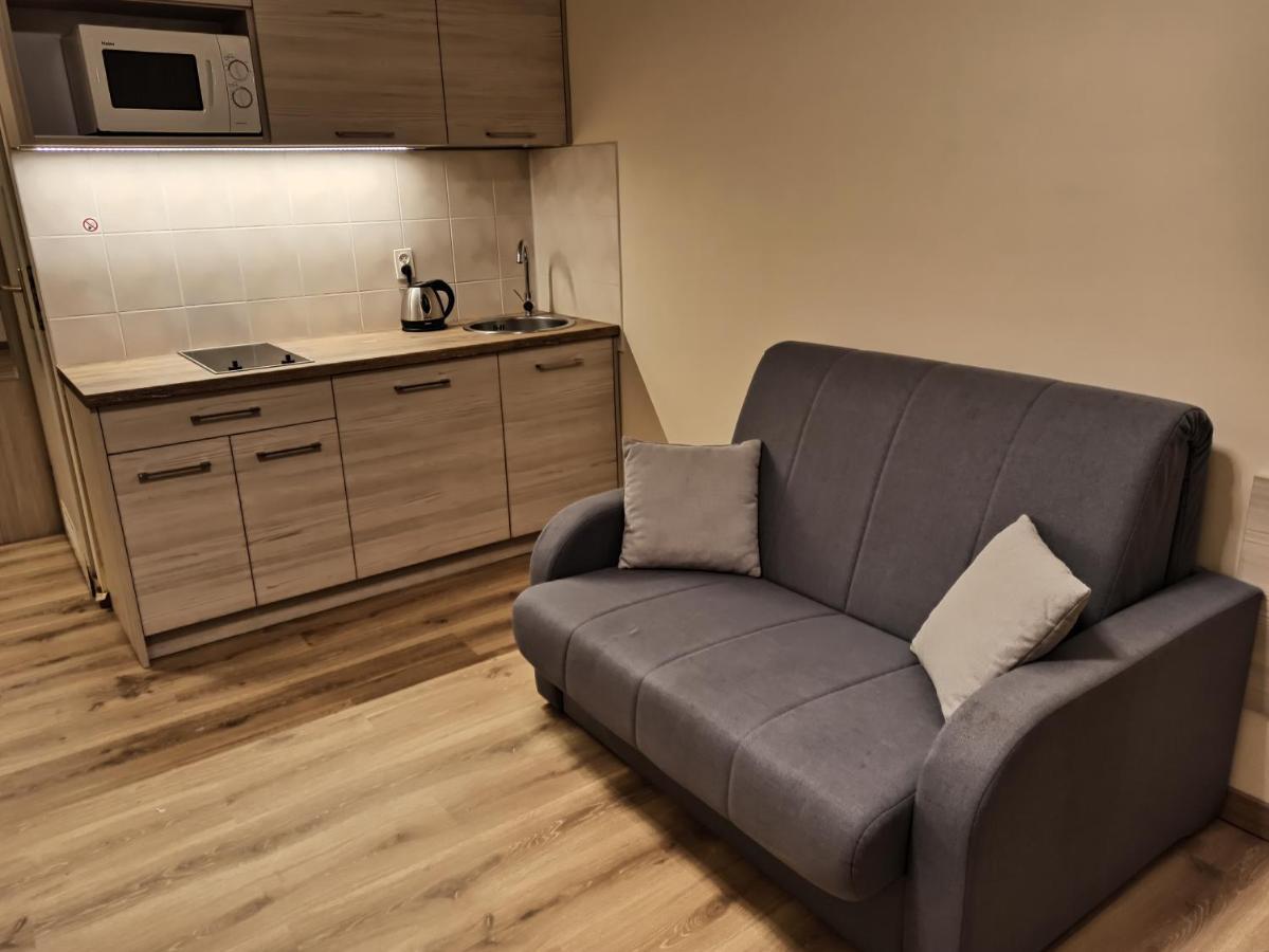 Apartment Apartament Krynica Morska Krynica Morska